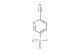 6-cyanopyridine-3-sulfonyl fluoride