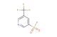 5-(trifluoromethyl)pyridine-3-sulfonyl fluoride