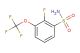 2-fluoro-3-(trifluoromethoxy)benzenesulfonamide