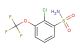 2-chloro-3-(trifluoromethoxy)benzenesulfonamide