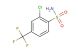 2-chloro-4-(trifluoromethyl)benzenesulfonamide