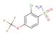 2-chloro-4-(trifluoromethoxy)benzenesulfonamide