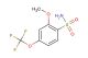 2-methoxy-4-(trifluoromethoxy)benzenesulfonamide