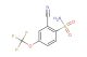 2-cyano-4-(trifluoromethoxy)benzenesulfonamide