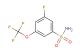 3-fluoro-5-(trifluoromethoxy)benzenesulfonamide