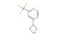 4-(azetidin-3-yl)-2-(trifluoromethyl)pyridine