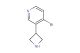 3-(azetidin-3-yl)-4-bromopyridine