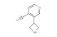 3-(azetidin-3-yl)isonicotinonitrile