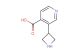 3-(azetidin-3-yl)isonicotinic acid