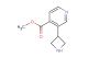 methyl 3-(azetidin-3-yl)isonicotinate