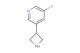 3-(azetidin-3-yl)-5-fluoropyridine