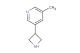 3-(azetidin-3-yl)-5-methylpyridine