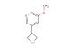 3-(azetidin-3-yl)-5-methoxypyridine