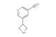 5-(azetidin-3-yl)nicotinonitrile