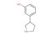 3-(pyrrolidin-3-yl)phenol