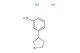 3-(pyrrolidin-3-yl)aniline dihydrochloride