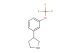 3-(3-(trifluoromethoxy)phenyl)pyrrolidine