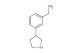 3-(3-ethylphenyl)pyrrolidine