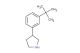 3-(3-(tert-butyl)phenyl)pyrrolidine