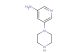 5-(piperazin-1-yl)pyridin-3-amine