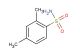 2,4-dimethylbenzenesulfonamide