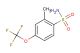 2-methyl-4-(trifluoromethoxy)benzenesulfonamide