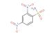 2,4-dinitrobenzenesulfonamide