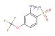 2-amino-4-(trifluoromethoxy)benzenesulfonamide
