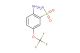 2-amino-5-(trifluoromethoxy)benzenesulfonamide