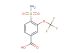 4-sulfamoyl-3-(trifluoromethoxy)benzoic acid