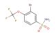 3-bromo-4-(trifluoromethoxy)benzenesulfonamide