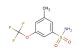 3-methyl-5-(trifluoromethoxy)benzenesulfonamide