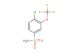 4-chloro-3-(trifluoromethoxy)benzenesulfonamide