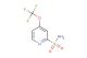 4-(trifluoromethoxy)pyridine-2-sulfonamide