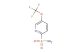 5-(trifluoromethoxy)pyridine-2-sulfonamide