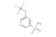 5-(trifluoromethoxy)pyridine-3-sulfonamide