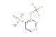 3-(trifluoromethoxy)pyridine-4-sulfonamide