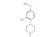 5-methoxy-2-(piperazin-1-yl)phenol