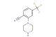2-(piperazin-1-yl)-4-(trifluoromethyl)benzonitrile