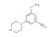 3-methoxy-5-(piperazin-1-yl)benzonitrile