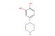 4-(piperazin-1-yl)benzene-1,2-diol