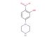 2-nitro-5-(piperazin-1-yl)phenol