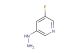 3-fluoro-5-hydrazinylpyridine