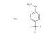 5-hydrazinyl-2-(trifluoromethyl)pyridine hydrochloride