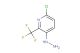 6-chloro-3-hydrazinyl-2-(trifluoromethyl)pyridine