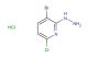 3-bromo-6-chloro-2-hydrazinylpyridine hydrochloride