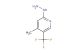 2-hydrazinyl-4-methyl-5-(trifluoromethyl)pyridine
