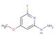 2-fluoro-6-hydrazinyl-4-methoxypyridine