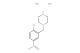1-(2-chloro-5-nitrobenzyl)piperazine dihydrochloride