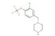 1-(3-chloro-4-(trifluoromethoxy)benzyl)piperazine